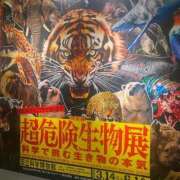 ヒメ日記 2026/03/19 18:48 投稿 なな 淫乱痴女エステ　上野店