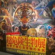 ヒメ日記 2026/03/19 19:03 投稿 なな 淫乱痴女エステ新宿店