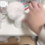 ヒメ日記 2025/08/01 18:28 投稿 なな 淫乱痴女エステ