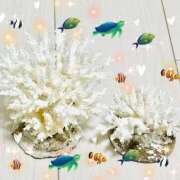 ヒメ日記 2025/07/08 05:39 投稿 こころ 一夜妻