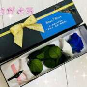 ヒメ日記 2025/09/06 09:09 投稿 こころ 一夜妻