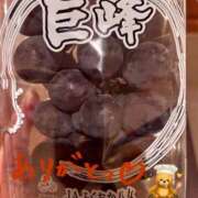 ヒメ日記 2025/09/07 11:34 投稿 こころ 一夜妻