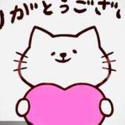 ヒメ日記 2025/12/10 06:29 投稿 こころ 一夜妻