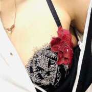 ヒメ日記 2026/02/21 17:49 投稿 こころ 一夜妻