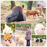 ヒメ日記 2026/09/11 17:42 投稿 こころ 一夜妻