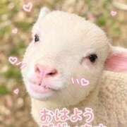 ヒメ日記 2026/09/23 08:51 投稿 こころ 一夜妻