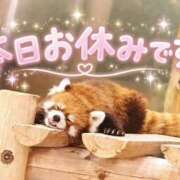 ヒメ日記 2026/10/04 23:11 投稿 こころ 一夜妻