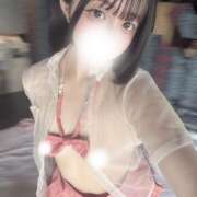 ヒメ日記 2025/04/12 04:34 投稿 アルカ 姫路ラビット