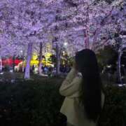 ヒメ日記 2026/05/14 02:40 投稿 如月ゆめ BLENDA V.I.P東京店