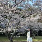 ヒメ日記 2026/05/15 14:11 投稿 如月ゆめ BLENDA V.I.P東京店
