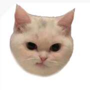 ヒメ日記 2025/09/26 12:55 投稿 ゆめ みつらん鉄道