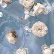 ヒメ日記 2025/10/29 20:00 投稿 ゆめ みつらん鉄道