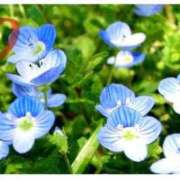 ヒメ日記 2025/04/23 14:18 投稿 ここみ 沖縄素人図鑑