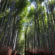 ヒメ日記 2025/04/18 09:02 投稿 天音  未来 東京貴楼館