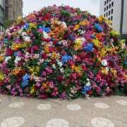 ヒメ日記 2025/04/19 20:02 投稿 天音  未来 東京貴楼館