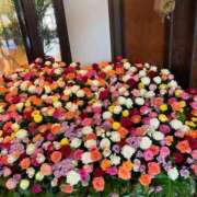 ヒメ日記 2025/06/01 20:23 投稿 天音  未来 東京貴楼館