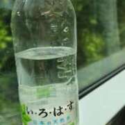 ヒメ日記 2025/05/06 08:55 投稿 桃木にか コウテイ