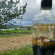 ヒメ日記 2025/05/25 16:55 投稿 桃木にか コウテイ