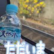 ヒメ日記 2025/11/10 13:05 投稿 桃木にか コウテイ
