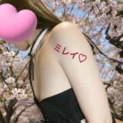 ヒメ日記 2026/03/19 07:31 投稿 みれい 和楽(わらく)