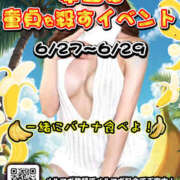 ヒメ日記 2025/06/29 06:07 投稿 ありす パイの巣