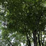 ヒメ日記 2025/07/04 14:19 投稿 ありす パイの巣