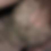 ヒメ日記 2025/07/11 06:46 投稿 ありす パイの巣