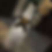 ヒメ日記 2025/08/08 06:05 投稿 ありす パイの巣