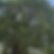 ヒメ日記 2025/08/11 19:32 投稿 ありす パイの巣