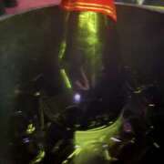 ヒメ日記 2025/09/20 07:18 投稿 ありす パイの巣