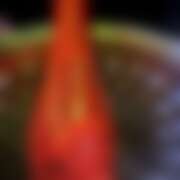 ヒメ日記 2025/09/22 14:38 投稿 ありす パイの巣