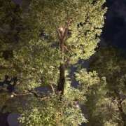 ヒメ日記 2025/09/22 21:11 投稿 ありす パイの巣