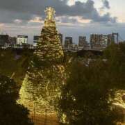 ヒメ日記 2025/10/02 00:29 投稿 ありす パイの巣