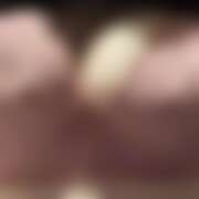 ヒメ日記 2025/10/10 19:05 投稿 ありす パイの巣