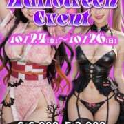 ヒメ日記 2025/10/15 12:14 投稿 ありす パイの巣