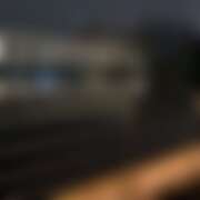 ヒメ日記 2025/10/30 15:50 投稿 ありす パイの巣