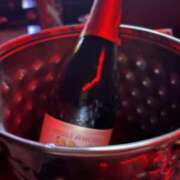 ヒメ日記 2025/11/02 12:05 投稿 ありす パイの巣