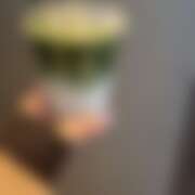 ヒメ日記 2025/11/02 22:57 投稿 ありす パイの巣