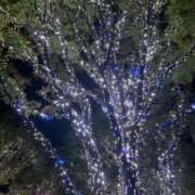 ヒメ日記 2025/11/05 16:04 投稿 ありす パイの巣