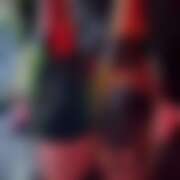 ヒメ日記 2025/11/13 13:26 投稿 ありす パイの巣