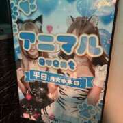 ヒメ日記 2025/11/18 19:38 投稿 ありす パイの巣