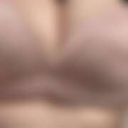 ヒメ日記 2025/11/23 15:10 投稿 ありす パイの巣