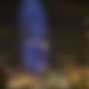 ヒメ日記 2025/11/29 21:46 投稿 ありす パイの巣