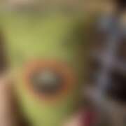 ヒメ日記 2025/12/13 09:08 投稿 ありす パイの巣