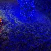 ヒメ日記 2025/12/13 16:45 投稿 ありす パイの巣