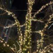 ヒメ日記 2025/12/23 16:35 投稿 ありす パイの巣