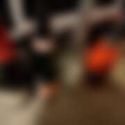 ヒメ日記 2025/12/27 17:53 投稿 ありす パイの巣