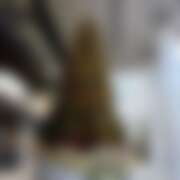 ヒメ日記 2026/01/07 19:03 投稿 ありす パイの巣