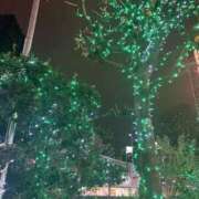 ヒメ日記 2026/01/13 19:19 投稿 ありす パイの巣