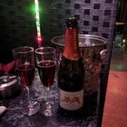 ヒメ日記 2026/02/08 18:47 投稿 ありす パイの巣